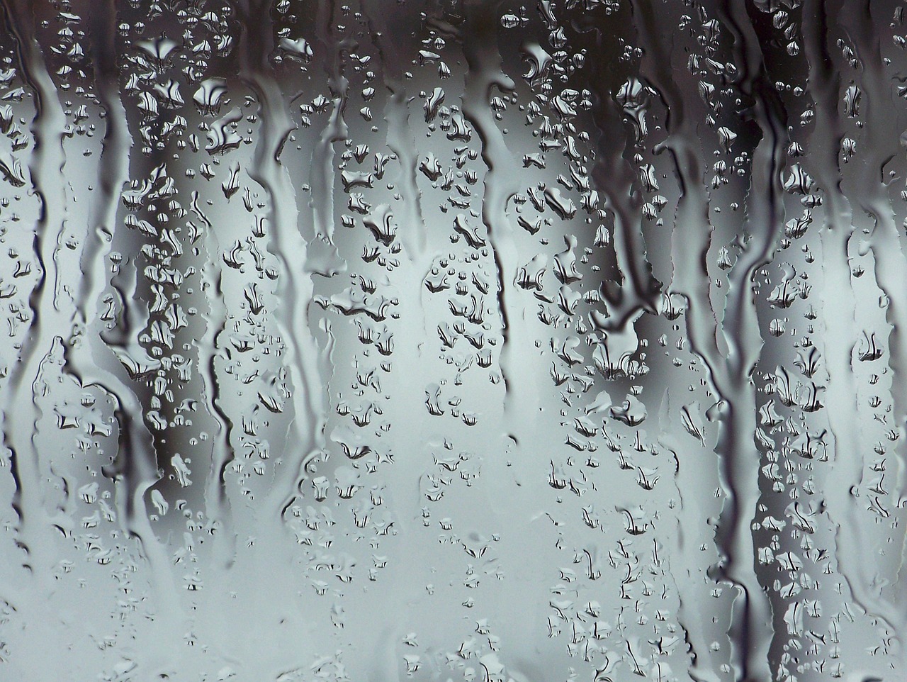How to Build a DIY Outdoor Shower